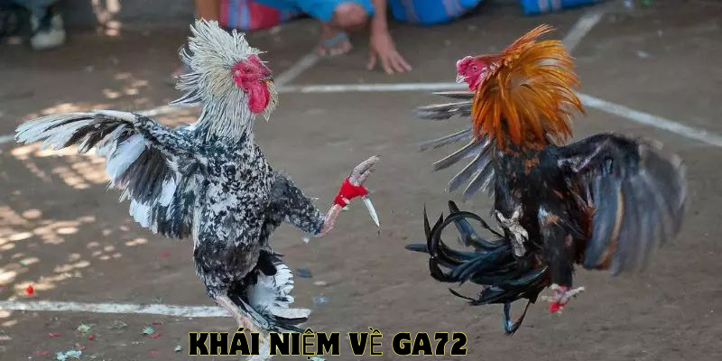 khái niệm ga72 