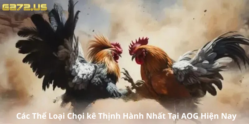 Các thể loại chọi kê thịnh hành nhất tại AOG hiện nay Các thể loại chọi kê thịnh hành nhất tại AOG hiện nay
