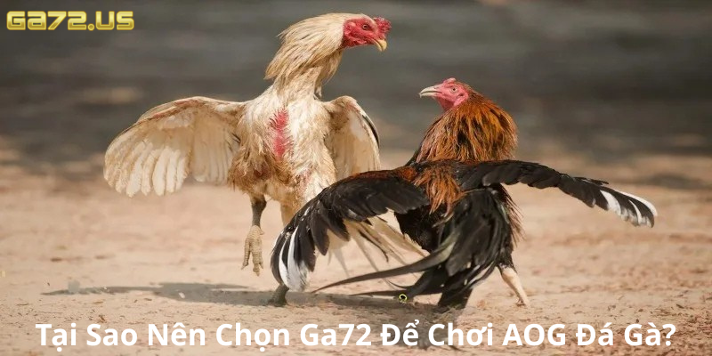 mọi giao dịch tại Ga72 đều diễn ra nhanh chóng mọi giao dịch tại Ga72 đều diễn ra nhanh chóng