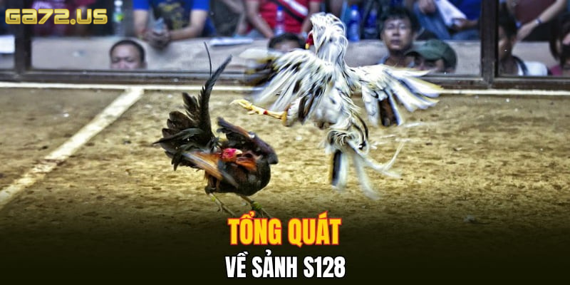 Tổng quát về sảnh S128 Tổng quát về sảnh S128