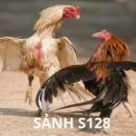 SẢNH S128