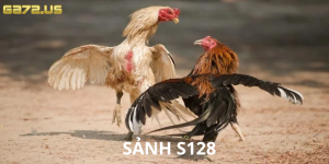 SẢNH S128