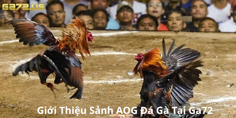 AOG được phát triển bởi Ga72 AOG được phát triển bởi Ga72